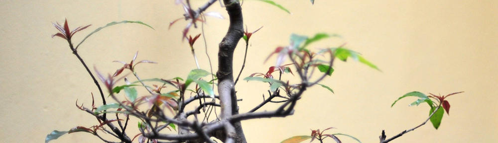 超人的勃勃：淫荡不能移，变态不能动，下流不能没。