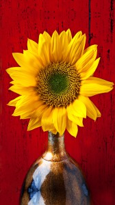 bigpicture_05_3