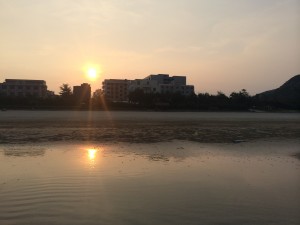 IMG_3620