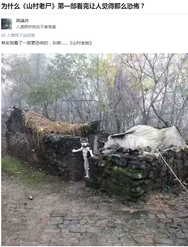 山村老哈